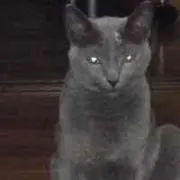 Naraka Sakaa