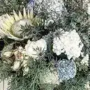 みみの画像