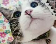 *seana*断捨離中
