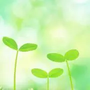さいとー