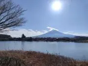 maomaoの画像