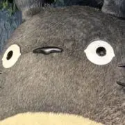 とみの画像