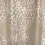 Jorryの画像