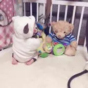 ひむ