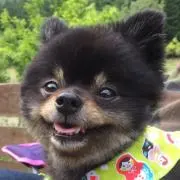 tuwuの画像