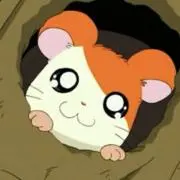 トマト※プロフ必読の画像