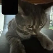 べるらんの画像