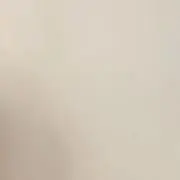 たまごの画像