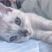 yukirinの画像