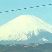Shoji