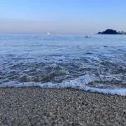 mina☆の画像