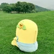 けいこ
