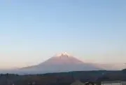 ツンドラ まとめ買い値引き歓迎の画像