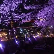 yasuの画像