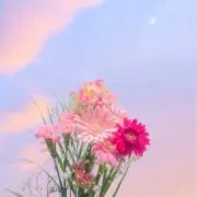 rsの画像
