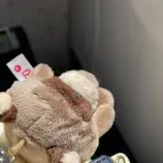 Annaの画像