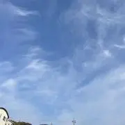 づ