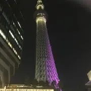 黒猫
