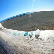 ひびきの画像