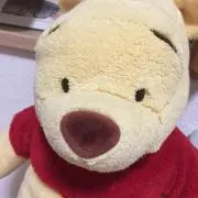ぷーの画像