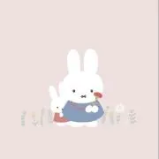 しまだの画像