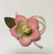 ミミちゃん☆の画像