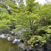 mm629の画像