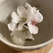 ココの画像
