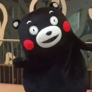 ヨチョンの画像