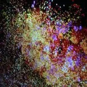 ののーぴーの画像
