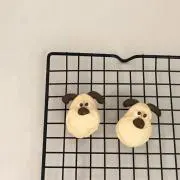 ぴの画像
