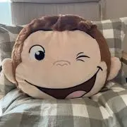 ぴっぴの画像