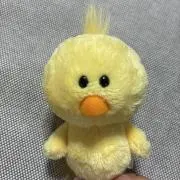 キイロイトリの画像