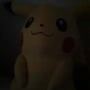 ポチャコちゃん