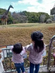 ゆうちゃんの画像