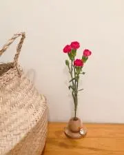 葉