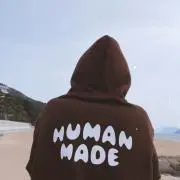 かじゅまるの画像