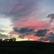 せがわの画像