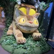 miitiの画像