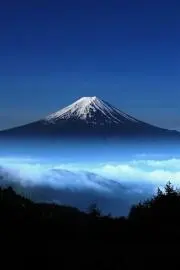 Saquitoの画像