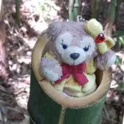 めいの画像