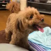 たぁーの画像