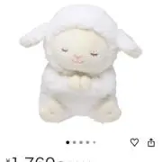 ゆうちゃんの画像