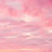 zuzuの画像