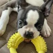 ヒロ