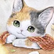 こねこくん（日々感謝）の画像