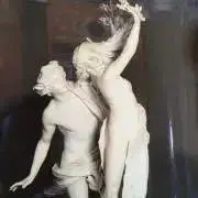 ダフネの画像