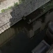 FREEの画像