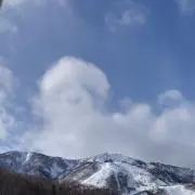 いよの画像