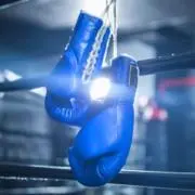 boxerの画像